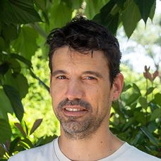 Pierre Bourreau portrait