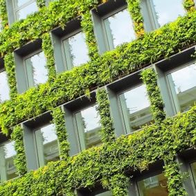 AMO rennes metropole