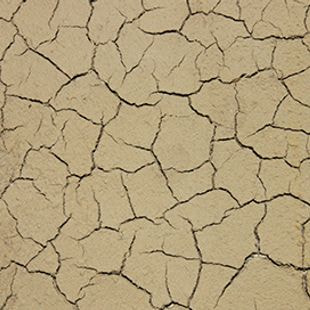 terre craquelée