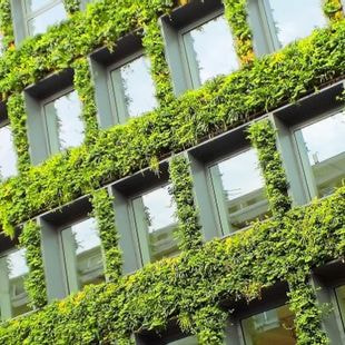 AMO rennes metropole