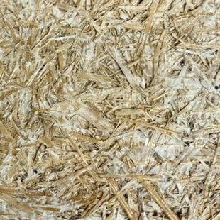 panneau isolant mycélium projet fungipan